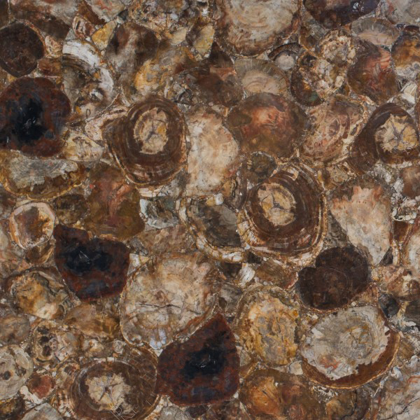 Petrified Wood Gemstone - Brown Gemstone
