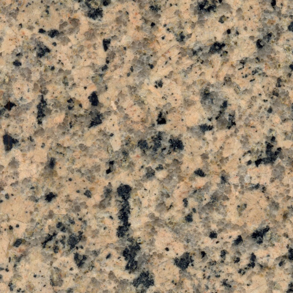 Panther Yellow Granite