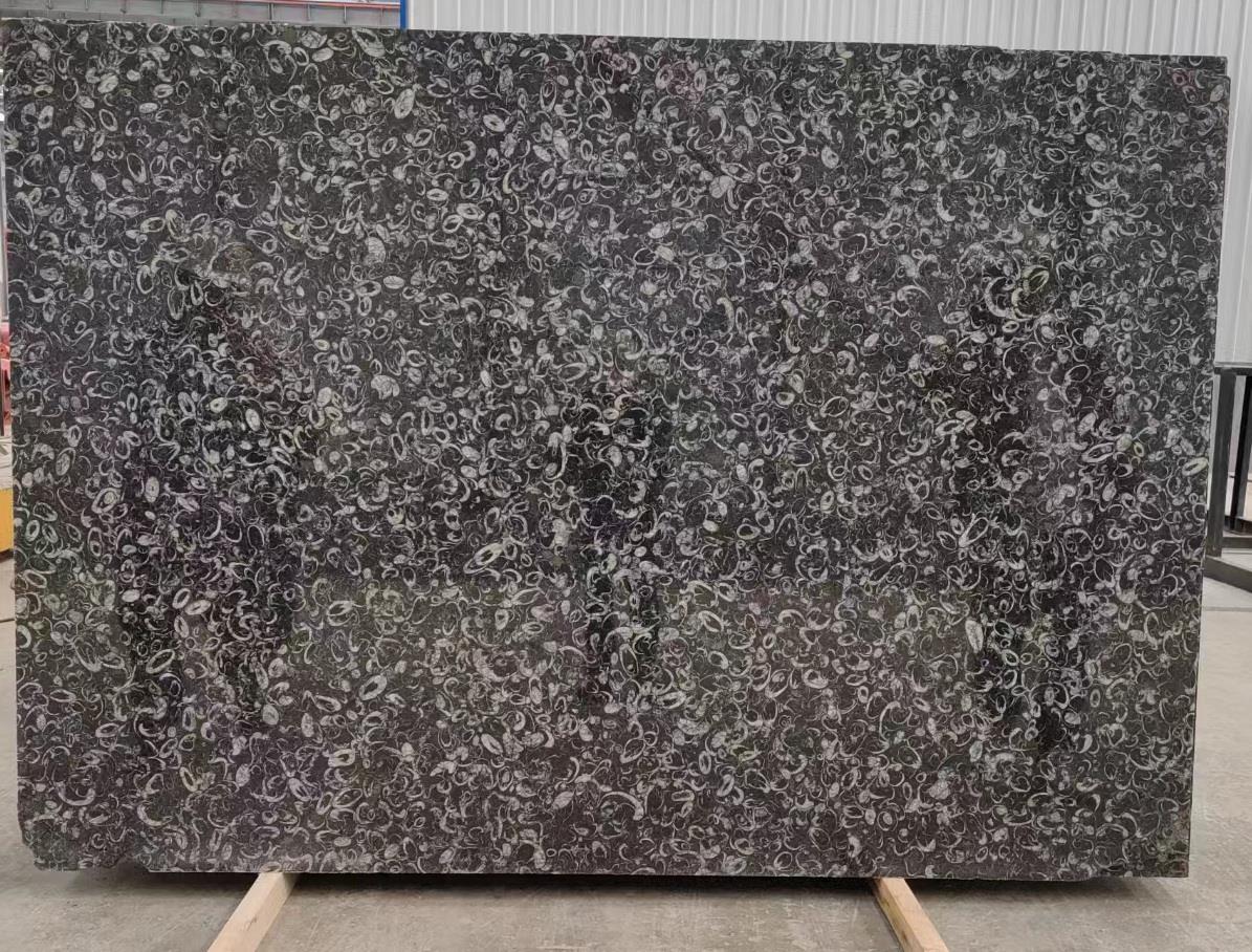 natural seashell black marble stone slabs for countertop